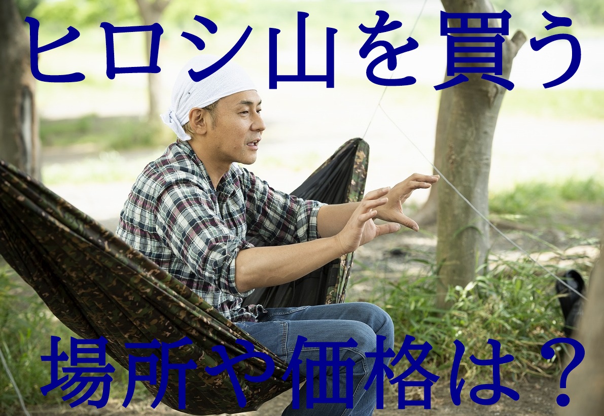 ヒロシ 山を買う 価格や場所はどこ 長野有力で100万円台の破格か