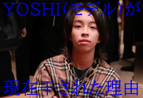 顔画像 Yoshi モデル が現在消えた理由 生意気でさんまに浣腸