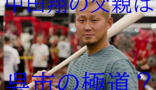 スポーツ Nobicom