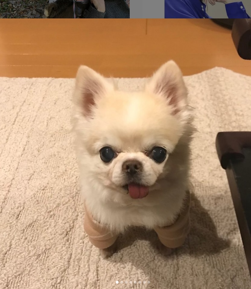 斎藤工の結婚相手は中村ゆり?結婚願望ないの二股のトラウマが原因?