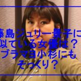【画像】藤島ジュリー景子に似てる女優や有名人13人!小杉にもそっくり